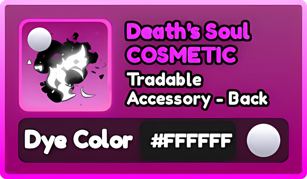 #FFFFFF Accessories